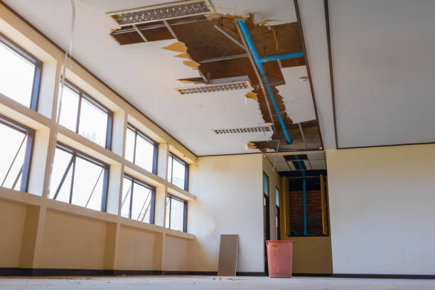 Best Basement water damage restoration  in Fox Island, WA
