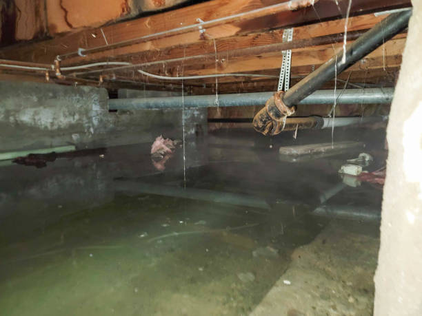 Best Water damage restoration near me  in Fox Island, WA