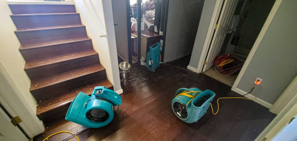  Fox Island, WA Water damage restoration Pros