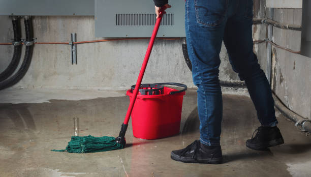 Best Water damage mitigation services  in Fox Island, WA