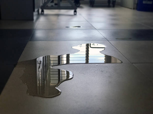Best Emergency water damage restoration  in Fox Island, WA
