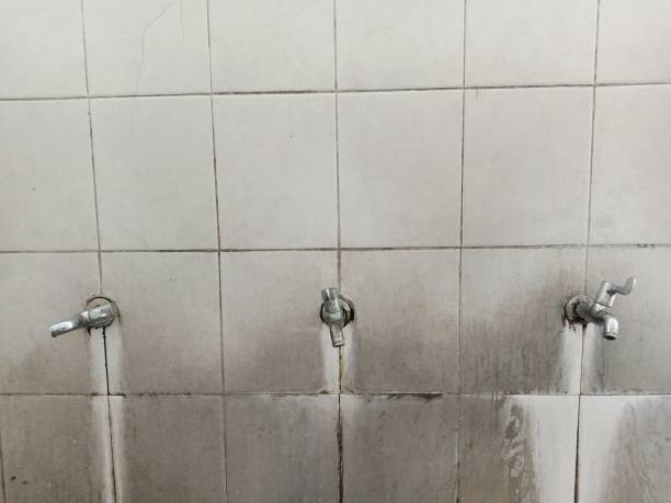 Best 24/7 water damage repair  in Fox Island, WA