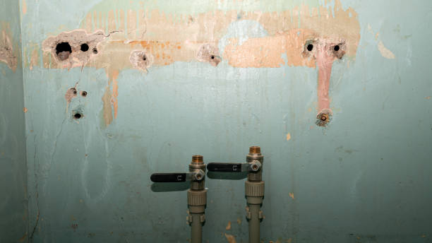 Best Water damage contractors near me  in Fox Island, WA