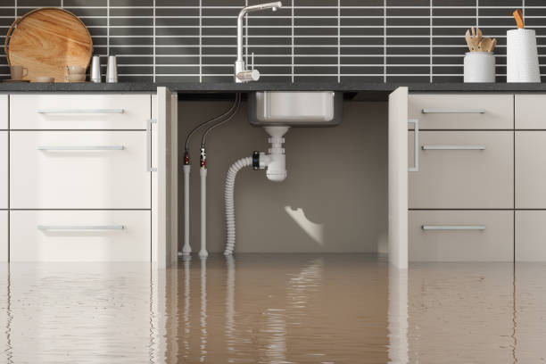 Best Flood damage cleanup  in Fox Island, WA